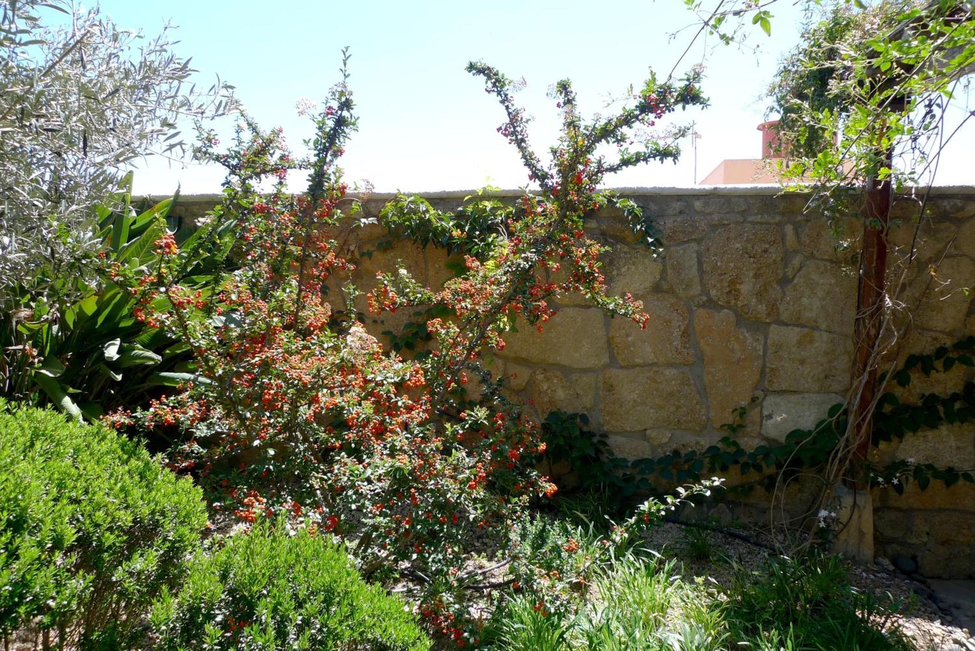 Hotel Rural San Miguel - Only Adults San Miguel de Abona Kültér fotó